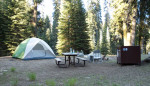 Bear-Boxes-Sequoia-National-Park